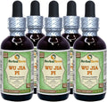 Eleutherococcus Gracilistylus Alcohol-Free Liquid Extract 5x2 fl.oz E711