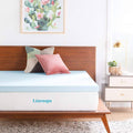 3 inch Gel Infused Memory Foam Mattress Topper W686