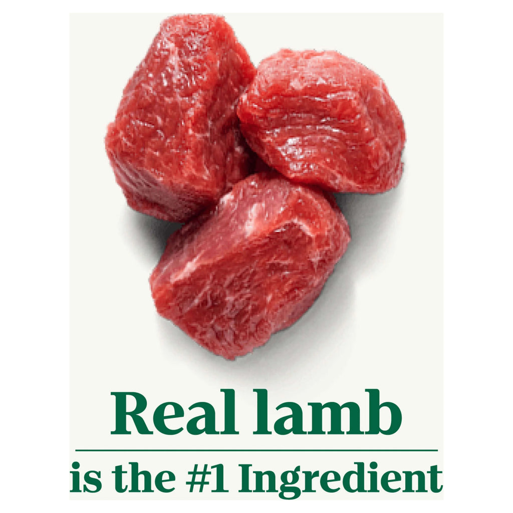 Lamb and Brown Rice Recipe Dry Dog Food, 30 lb Bag B930804