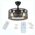 Caged Ceiling Fan Light with Remote J485863