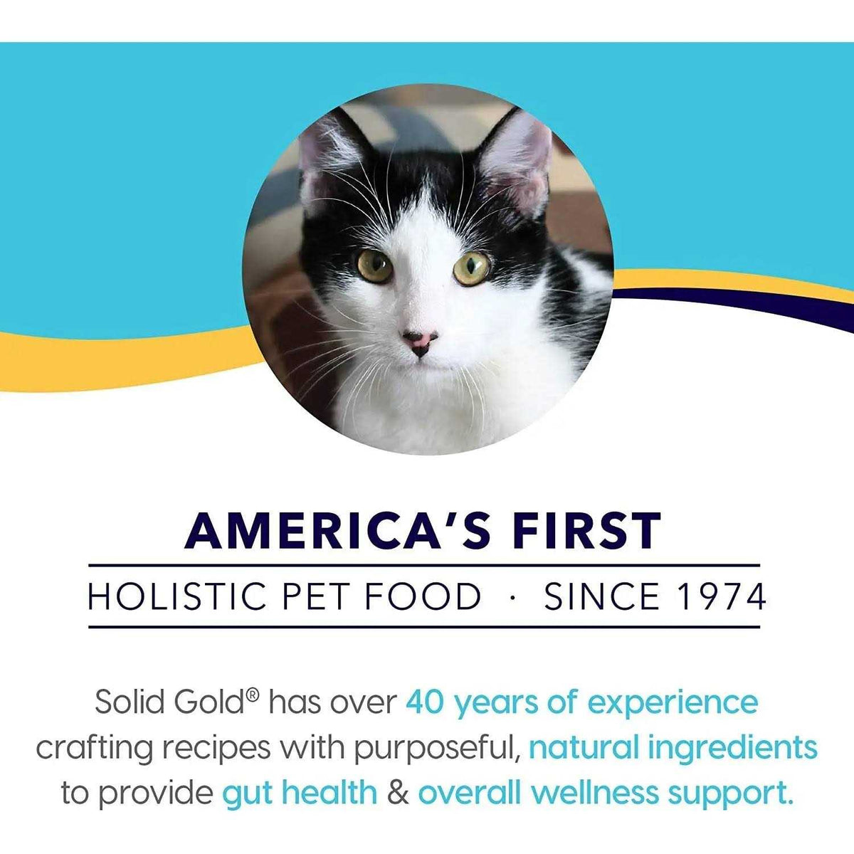 Solid Gold Indigo Moon Dry Cat Food V601