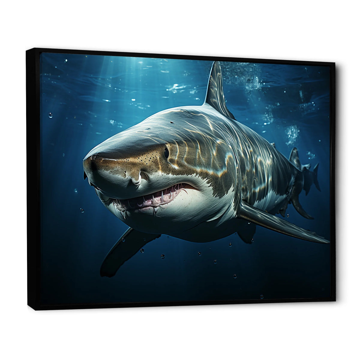 Framed Wall Art U875014
