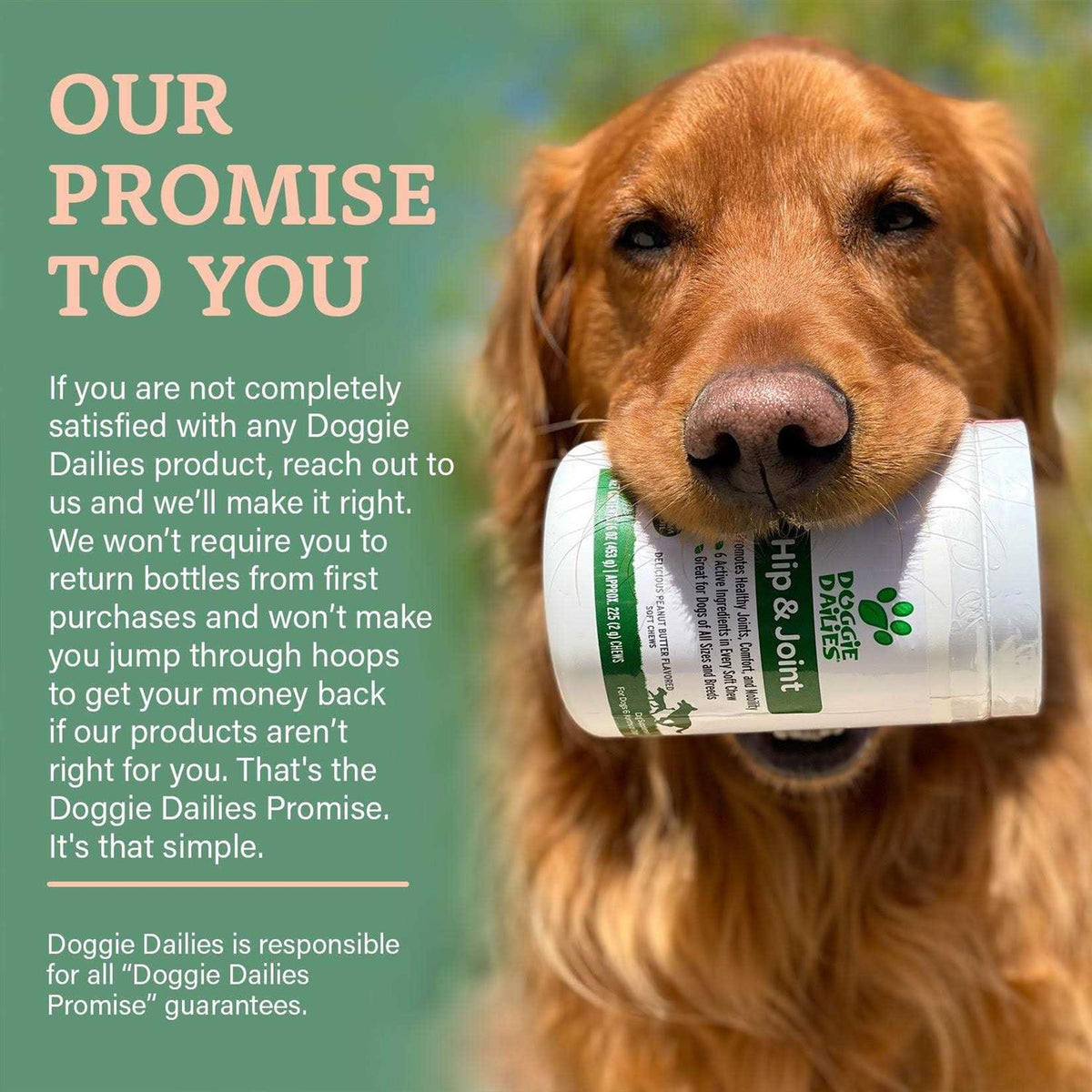 Glucosamine for Dogs Q70888
