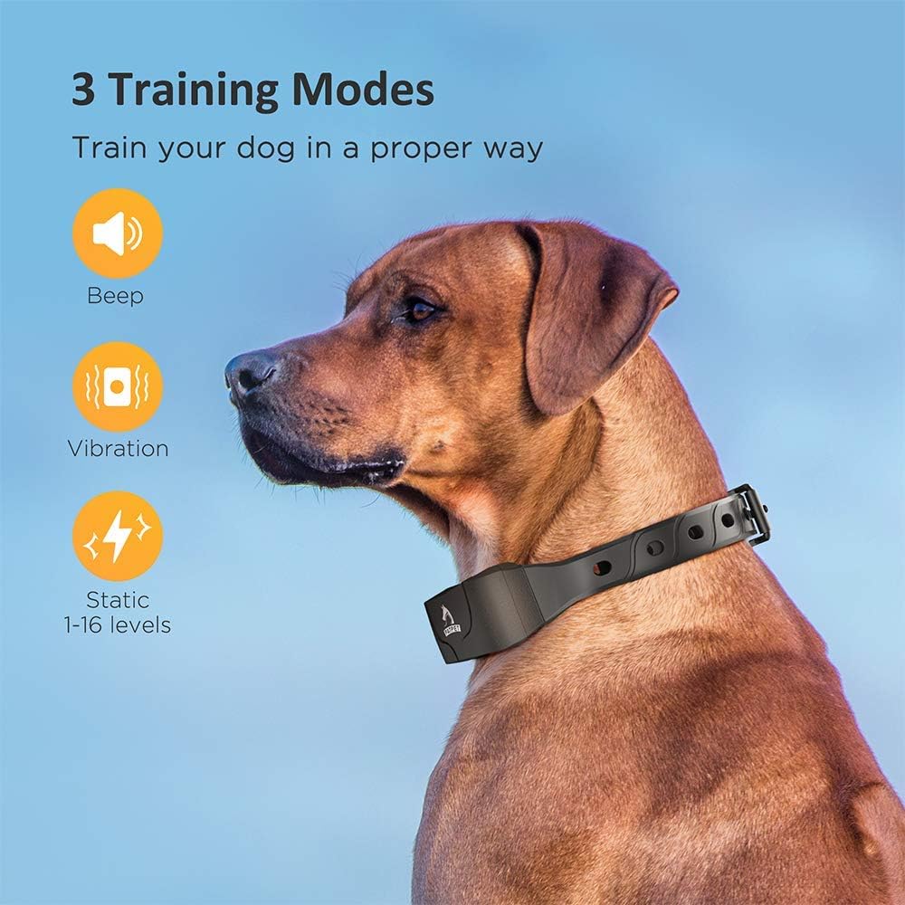 Rechargeable Waterproof Dog Training Collar with Remote for 2 Dogs U9842