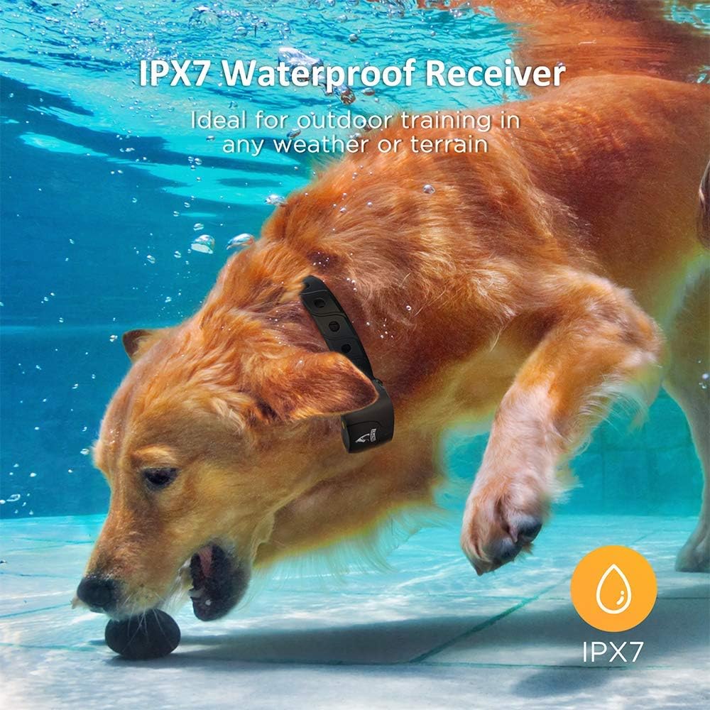 Rechargeable Waterproof Dog Training Collar with Remote for 2 Dogs U9842