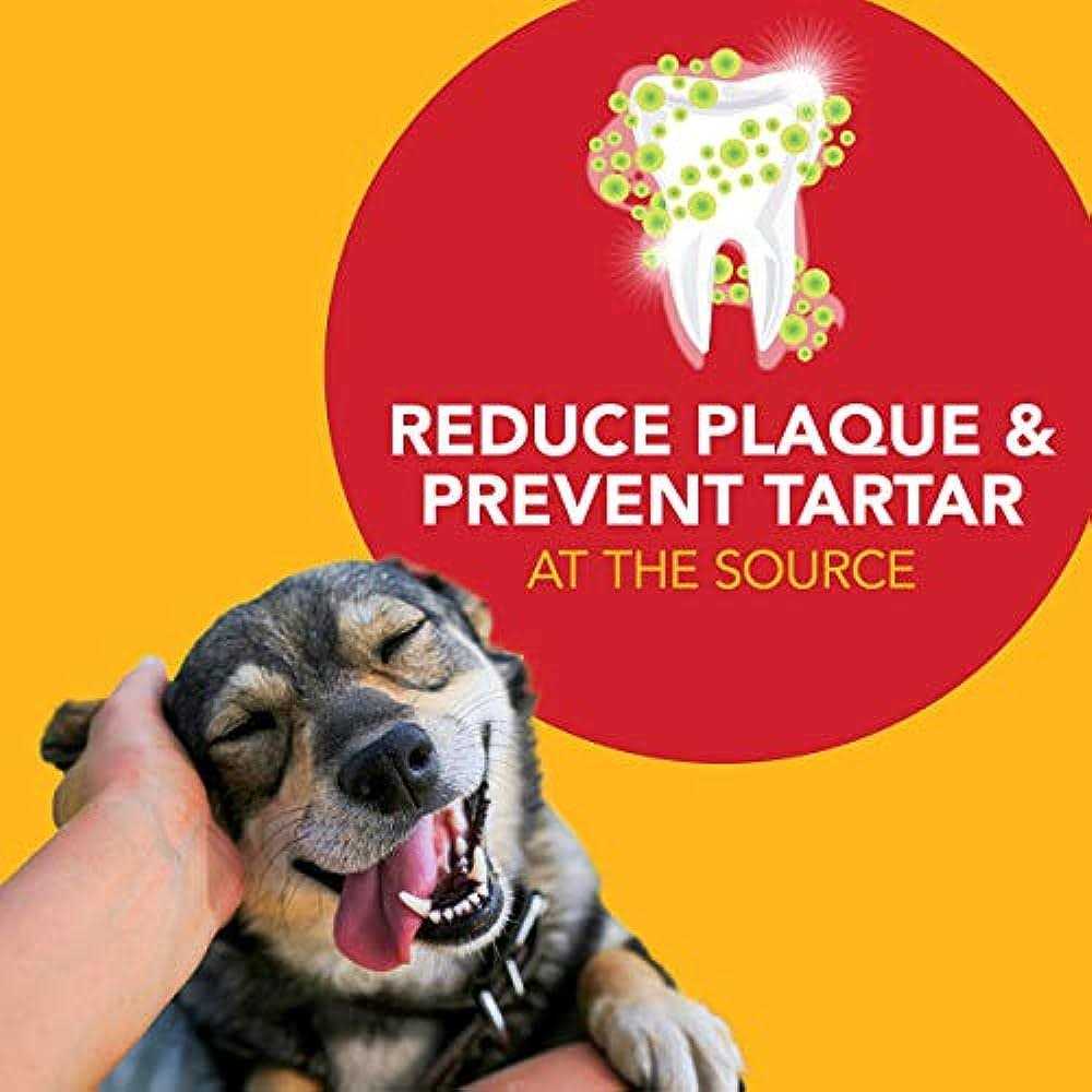 Natural Toothpaste for Dogs T693422
