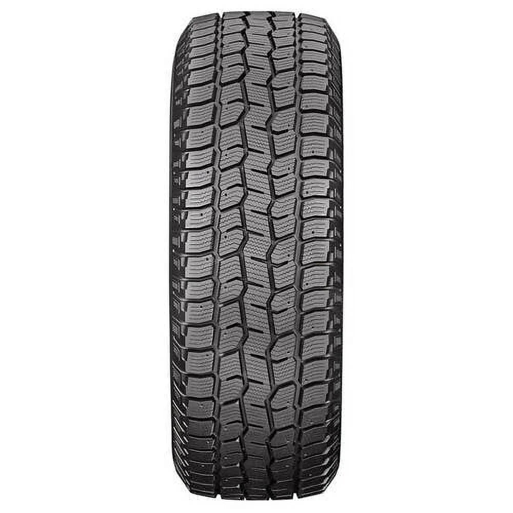 Winter Light Truck Tire V265