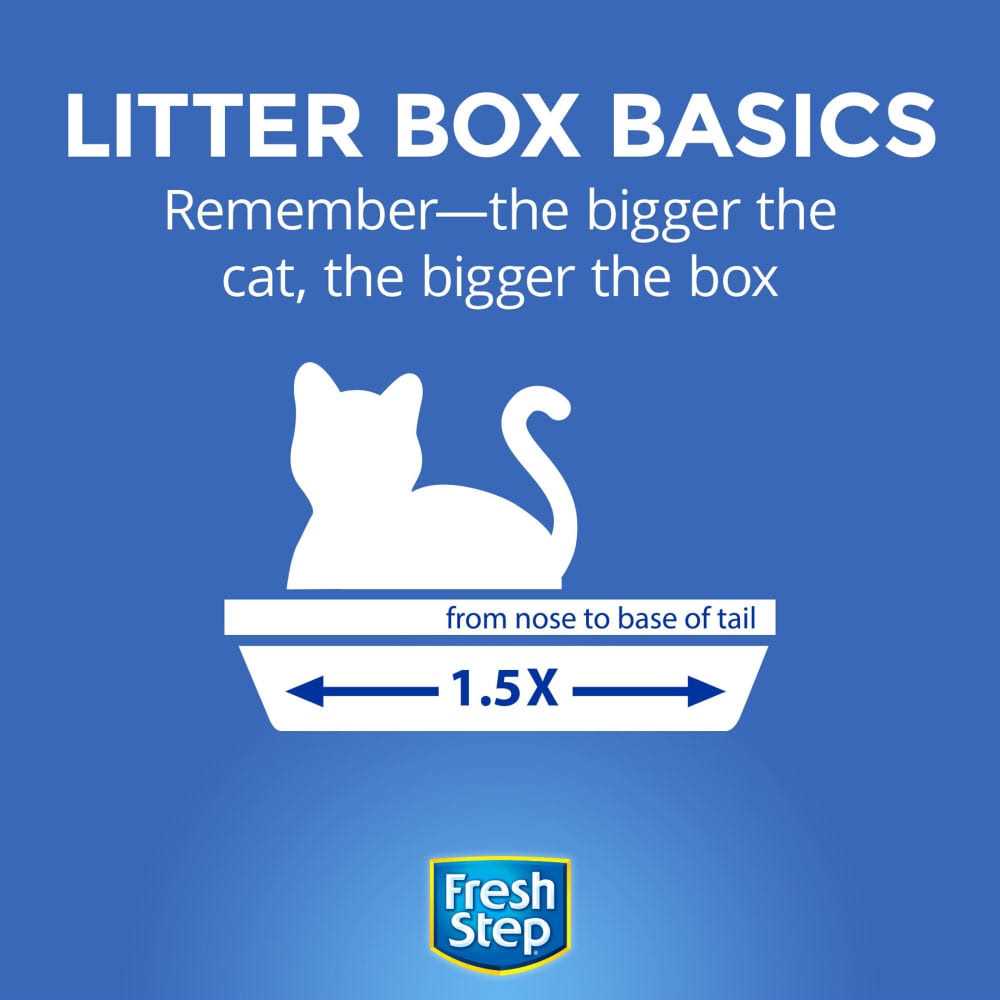 Scented Clumping Cat Litter V6385