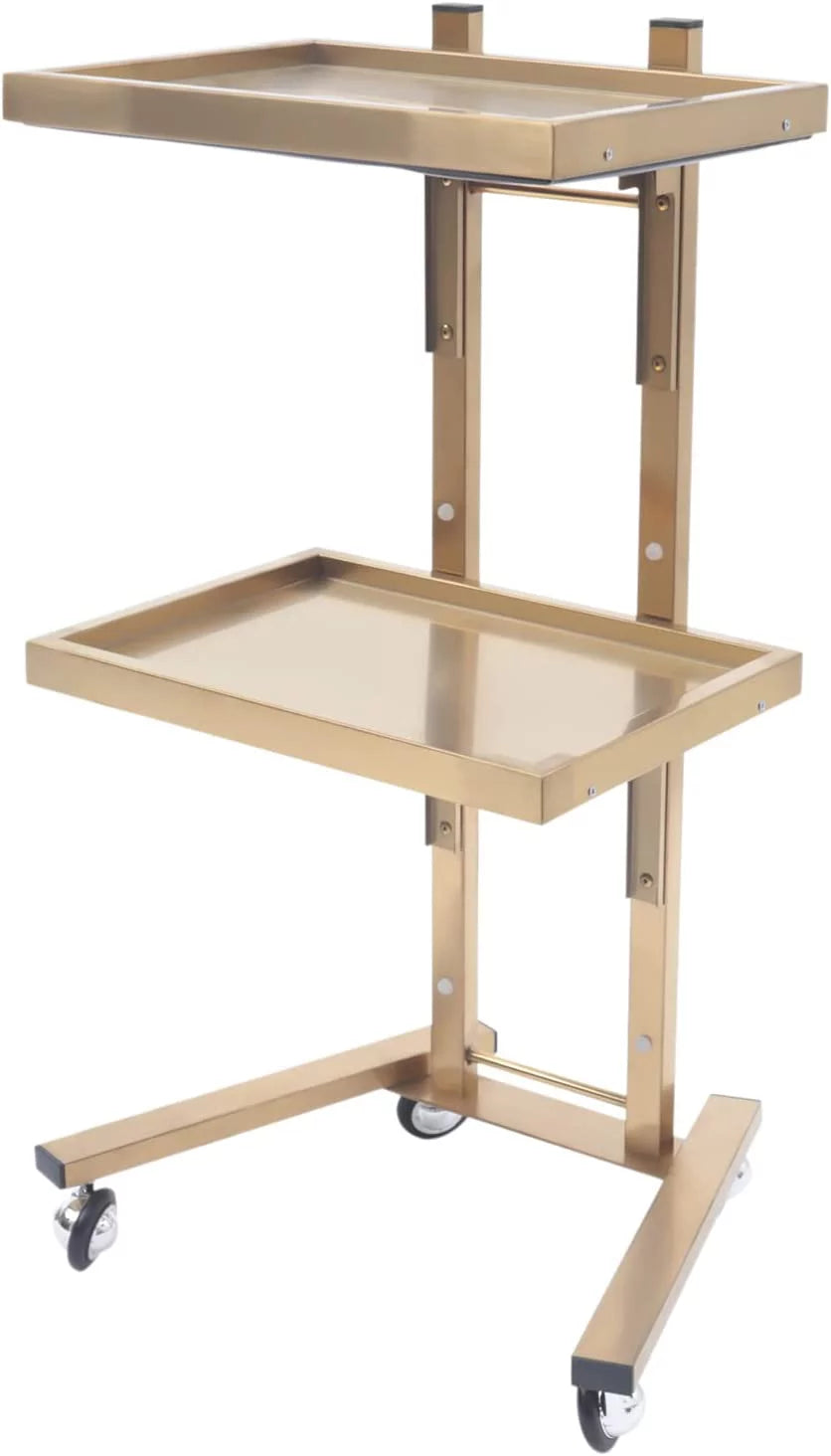 Foldable Metal 2-Tier Cart Trolley with 4 Swivel Casters B389