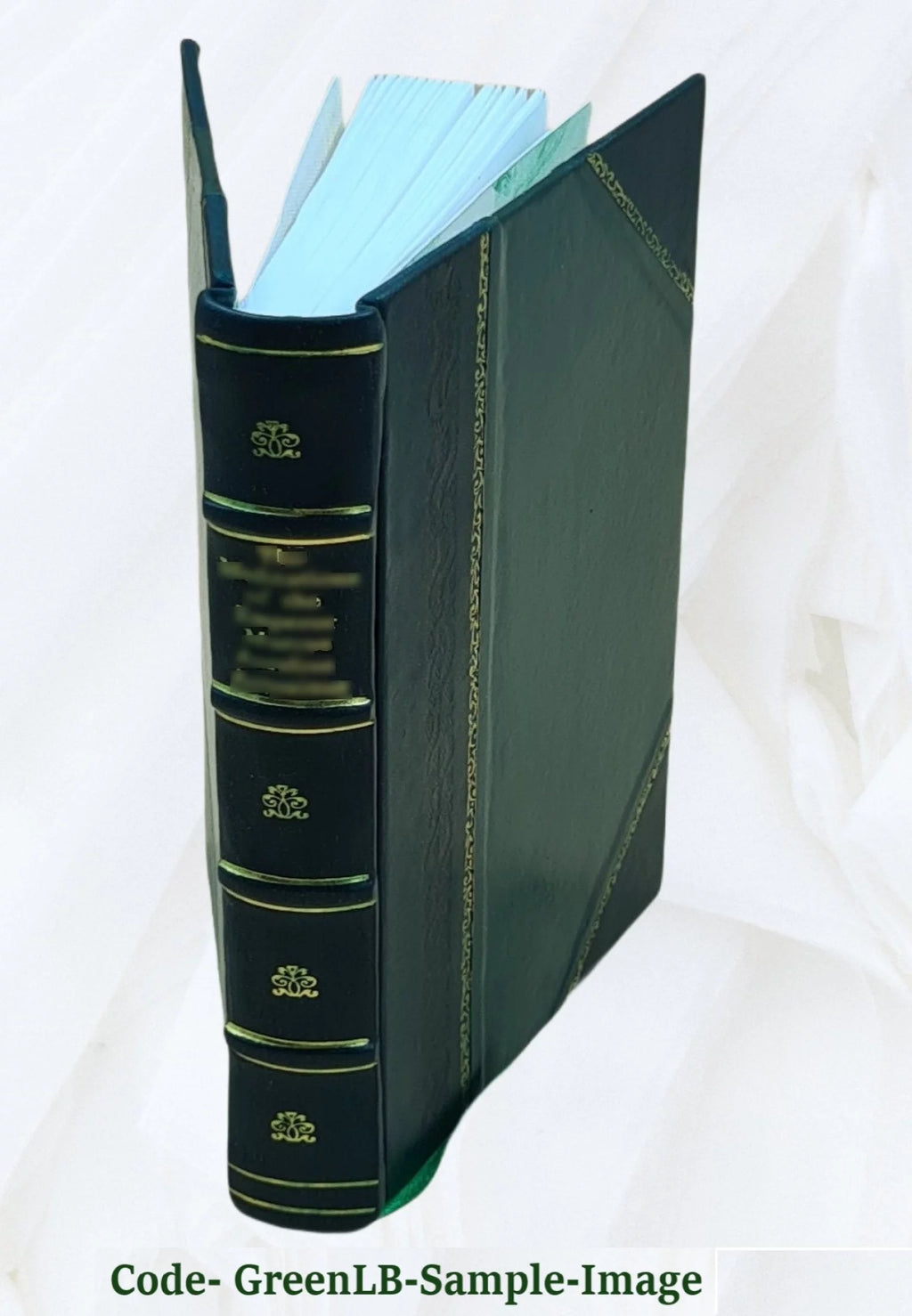 1917 Leather Bound Z165546