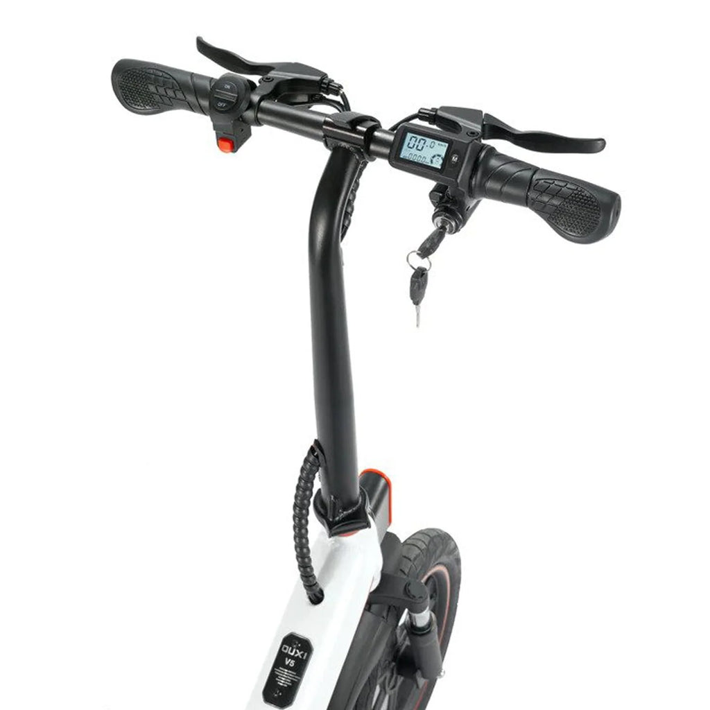 Folding Electric Bike with 400W Motor R8190